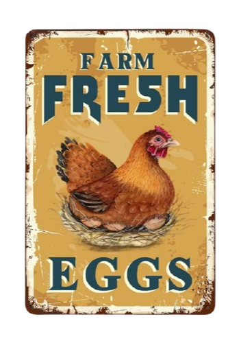 Home decor - Metal Sign - farm fresh eggs