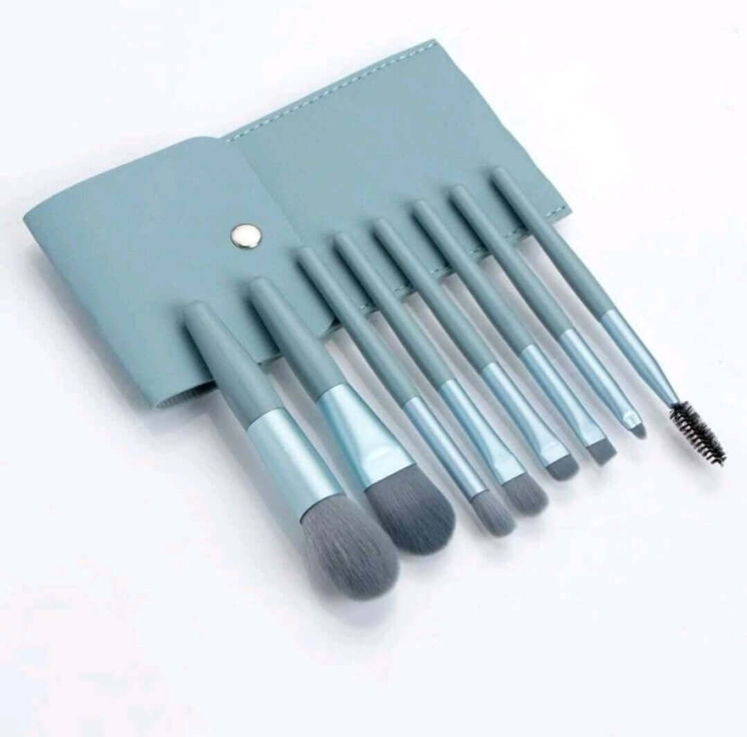 blue make up brush set in pouch