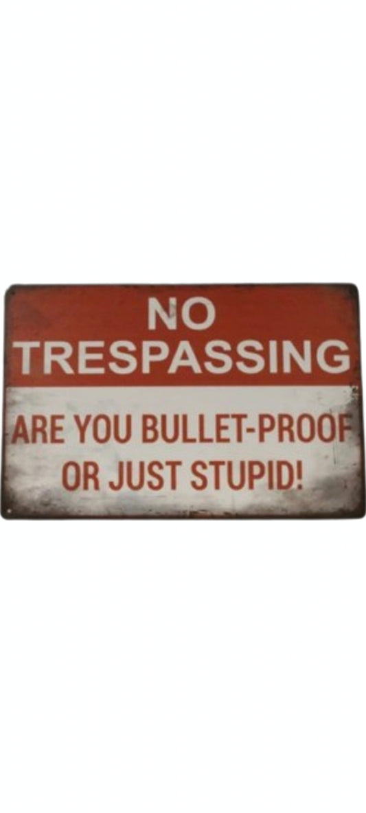 Home decor - Metal Sign - Trespassing funny