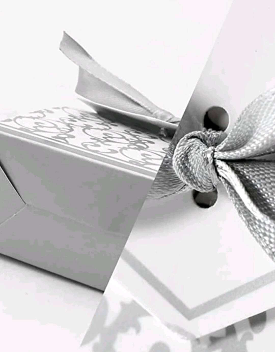 Favour bags - Luxury silver (10)